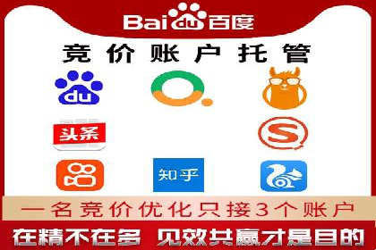 百度竞价代运营公司成功案例揭秘：策略与执行